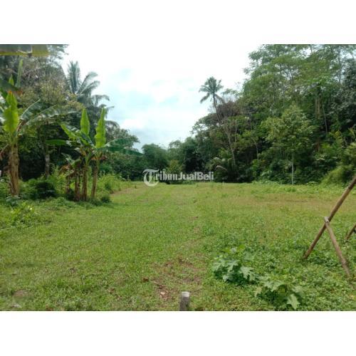 Dijual Tanah Murah di Mungkid - Magelang