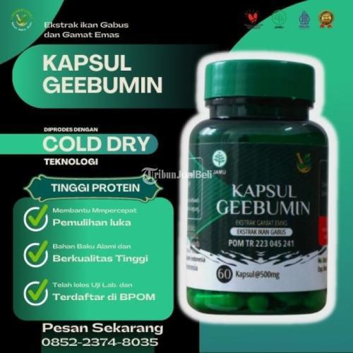 Kapsul Ikan Kuthuk Geebumin Obat Alami - Ngawi