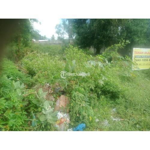 Jual Tanah Luas 1.056 m2 Lokasi Strategis Tepi Jalan Negara Cocok untuk Investasi - Sikka