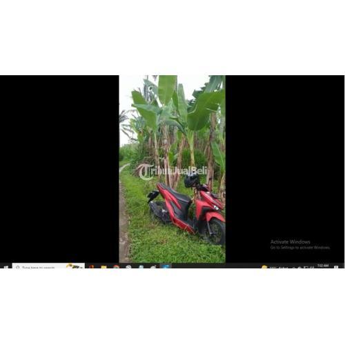 Jual cepat tanah luas 1000 m² Jl. Raya Wringinanom - Tumpang Kab. Malang