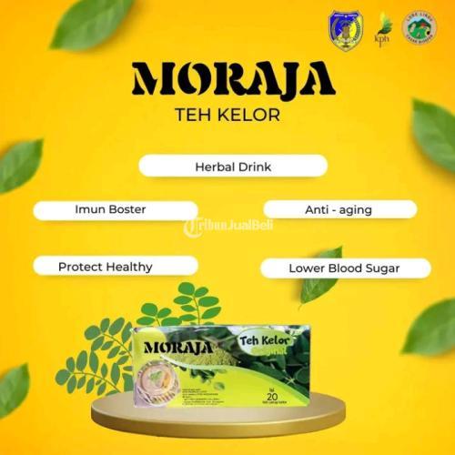 Moraja Teh Kelor Banyak Nutrisinya dan Antioksidan - Donggala