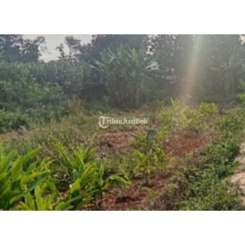 Tanah Ex Kandang Ayam Luas 26 Hektar SHM Lengkap  Bekasi