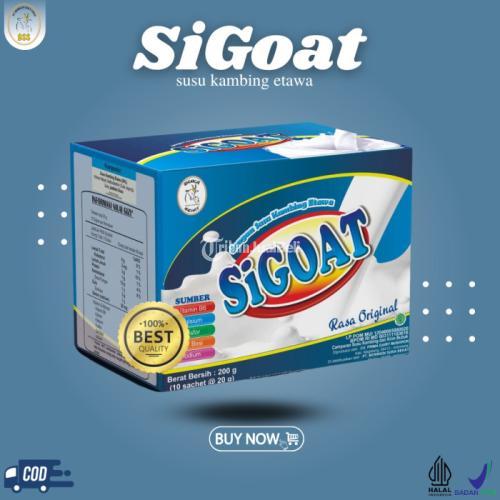Susu kambing SiGoat baik Untuk Anak Sembelit