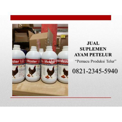 Suplemen Ayam Petelur Multivitamin Di Kediri Tribun Jualbeli