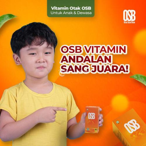 ANDALAN ORANG TUA - DISUKAI ANAK ANAK!! Vitamin Otak Untuk Anak : OSB Blitar