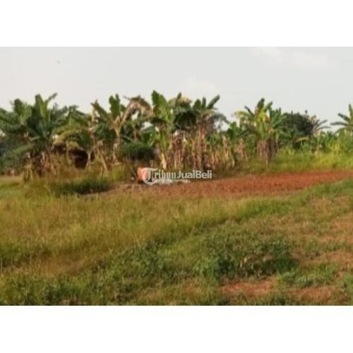 Tanah 10 hektar Cileungsi Kab. Bekasi