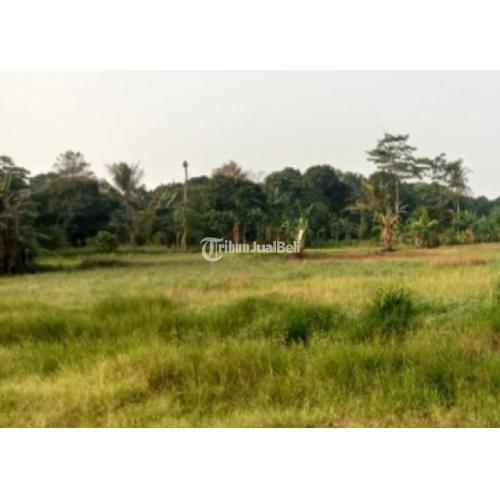 Tanah 10 hektar Cileungsi Kab. Bekasi