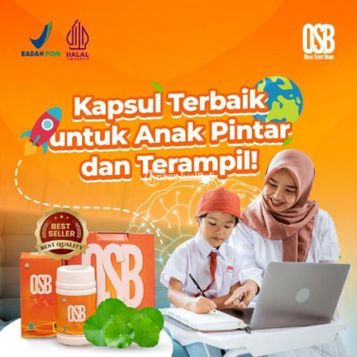 Distributor Vitamin Herbal Untuk Kecerdasan Otak Anak : OSB Blitar