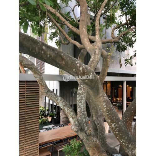 Dijual Rumah Bekas 2 Lantai Eksklusif Full Perabotan 4KT 4KM dekat UB - Malang Kota