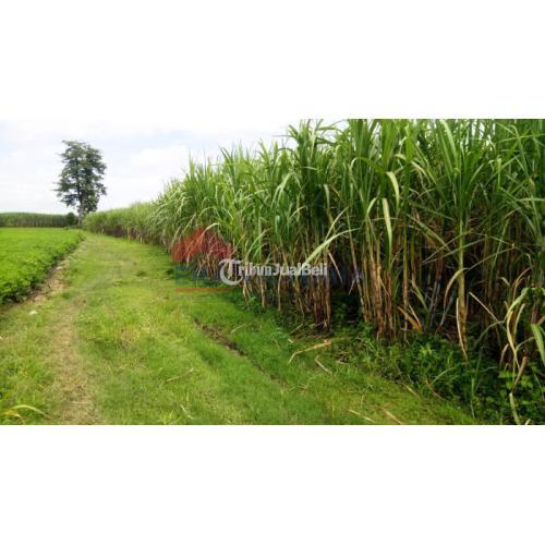 Tanah Sawah Dekat Perum Btn, Rsud Kertosono, Jalan Lebar 5 Meter