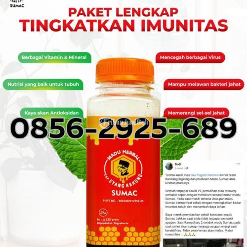 Agen Madu Sumac Jogja Yogyakarta