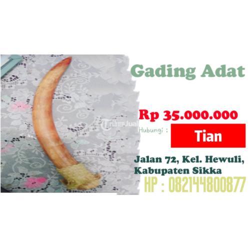 Gading Adat Sikka