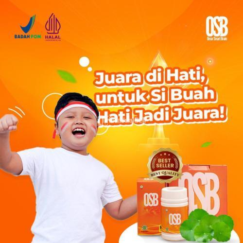 Agen Vitamin Otak Untuk Anak : OSB Blitar - Paling DIPERCAYA Para Orang Tua