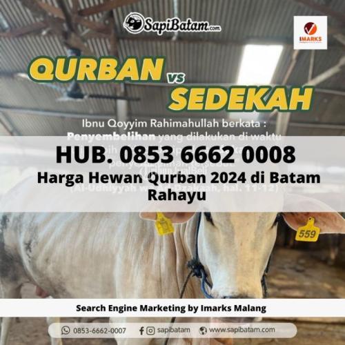 HEWAN QURBAN 2024 BATAM, Hub. 0853 6662 0008, Hewan Qurban 2024 Terbaik di Batam Sapi Rahayu