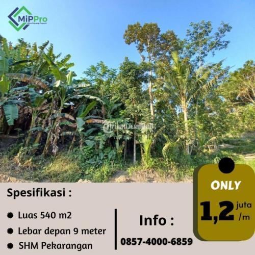 anah pekarangan murah 1 jutaan di Margomulyo Seyegan SIAP BALIK NAMA