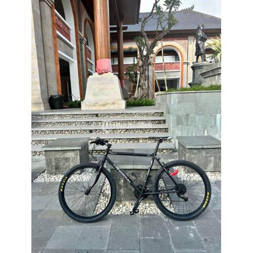 Sepeda Federal Street Cat 550 Frame 19" Bekas Normal Ban Baru - Denpasar