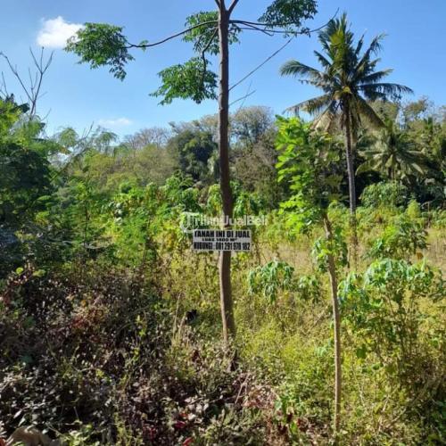 Tanah Luas 1400m2 Jarak 20 Meter Dari Jalan Maumere, Flores, NTT