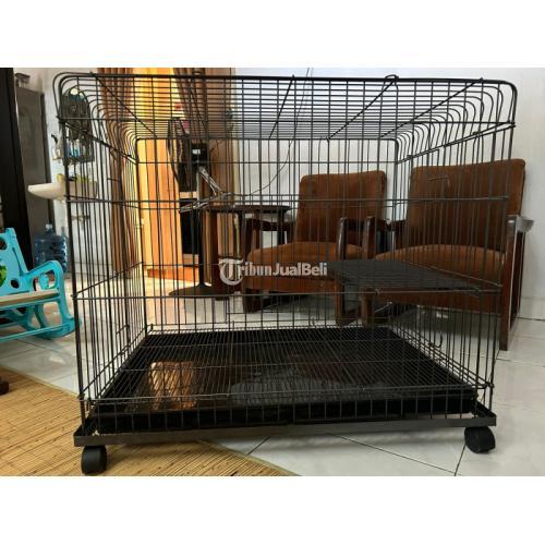 Baru! Kandang Hewan BOOM