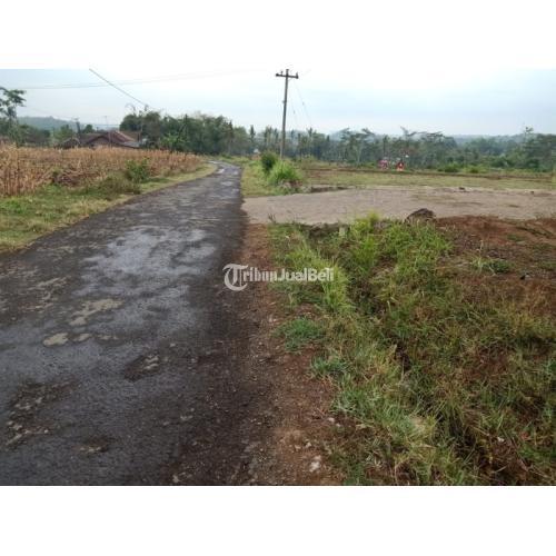 TANAH MURAH BELAKANG KELURAHAN BINTORO PATRANG