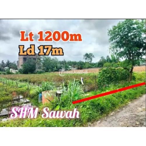 Barat laluna resort jl palagan timur the Monaco, tekiyo resto dan bar, selatan kopi filosofi