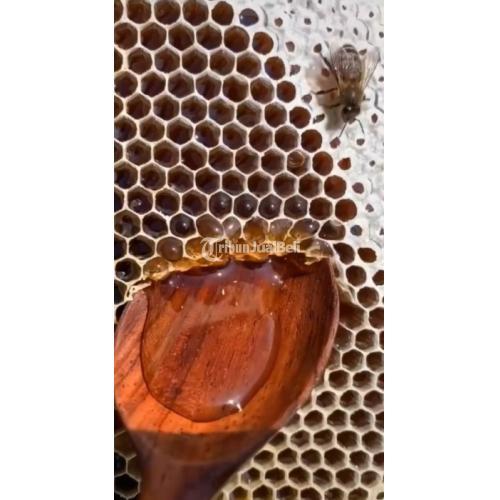 COD, Supplier Madu Asli Harga Grosir Madu Asli Terdekat dari Sarang Madu Asli Hu