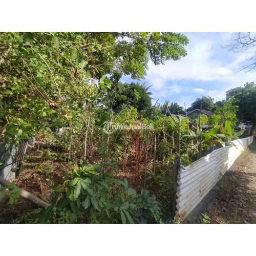 Rumah beserta tanah, Luas tanah 15x30 dengan Luas Rumah 8x7 Maumere, Flores, NTT