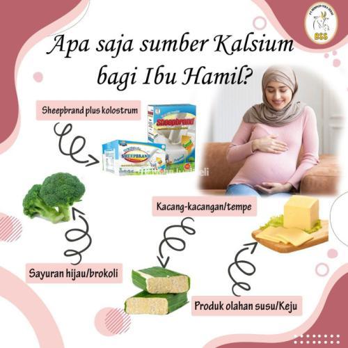 0882-1553-8678 , Susu Kambing Etawa Terbaik Bali