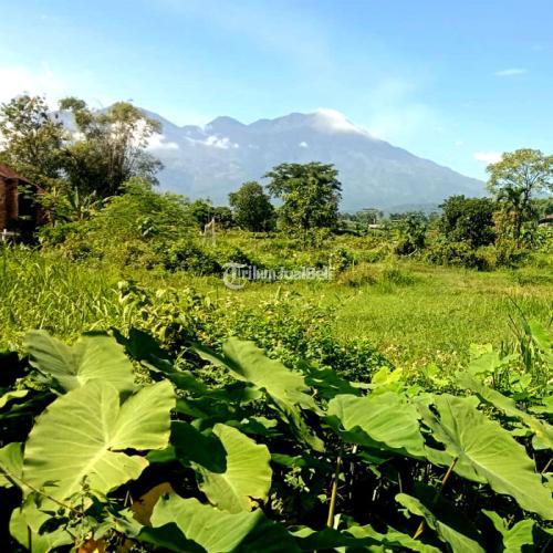 Kavling Sumbersuko Asri: Harmoni Alam dan View Pegunungan yang Menawan.