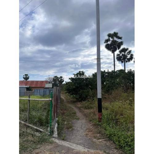 Tanah Luas 279m2 area lingkar luar, Maumere, Flores, NTT