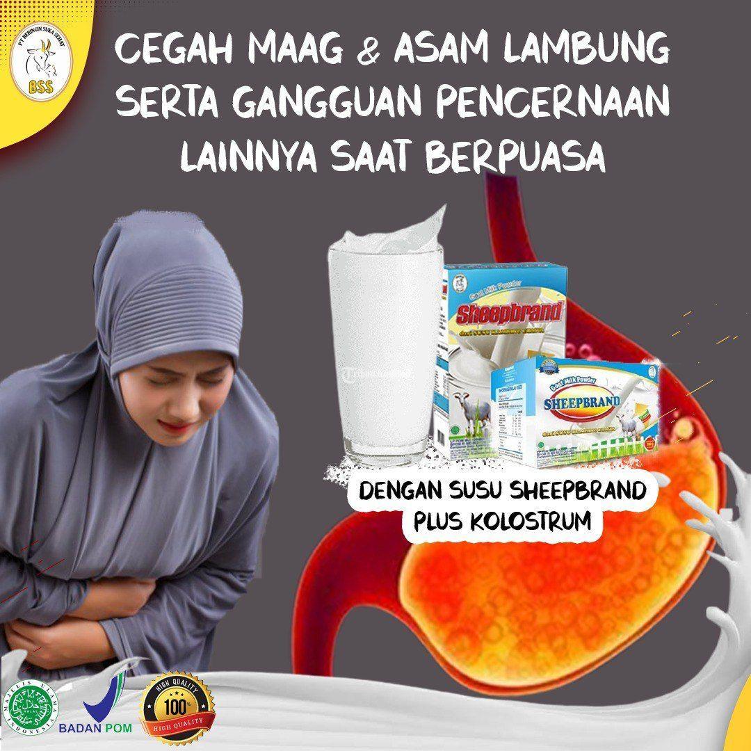 Susu Kambing Etawa Terbaik Banten