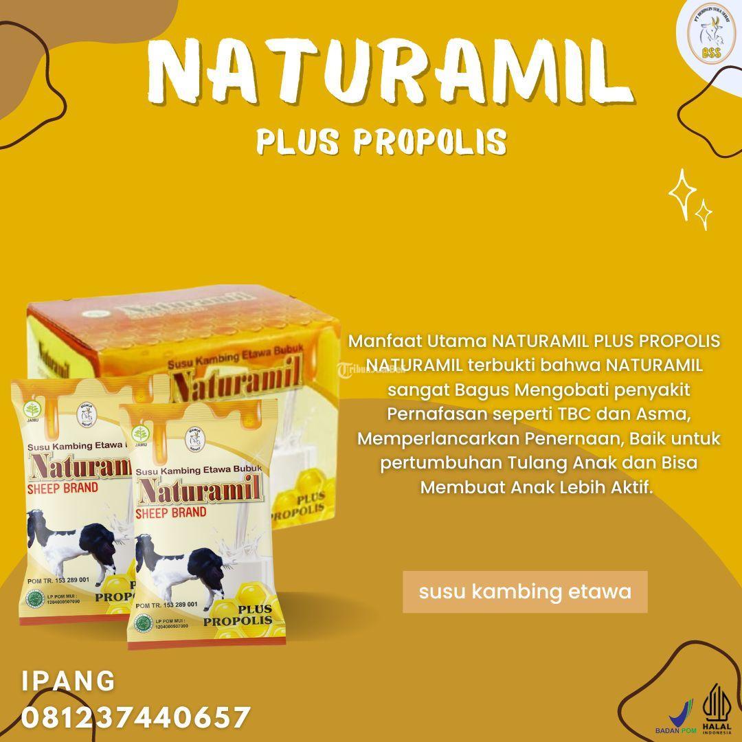 Susu Kambing Etawa Terbaik Kabupaten Kulon Progo
