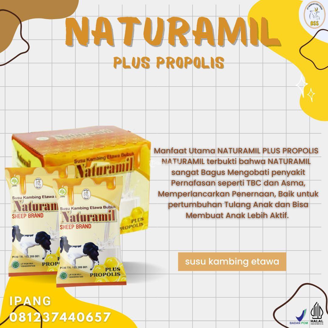 Susu Kambing Etawa Terbaik Kabupaten Kulon Progo