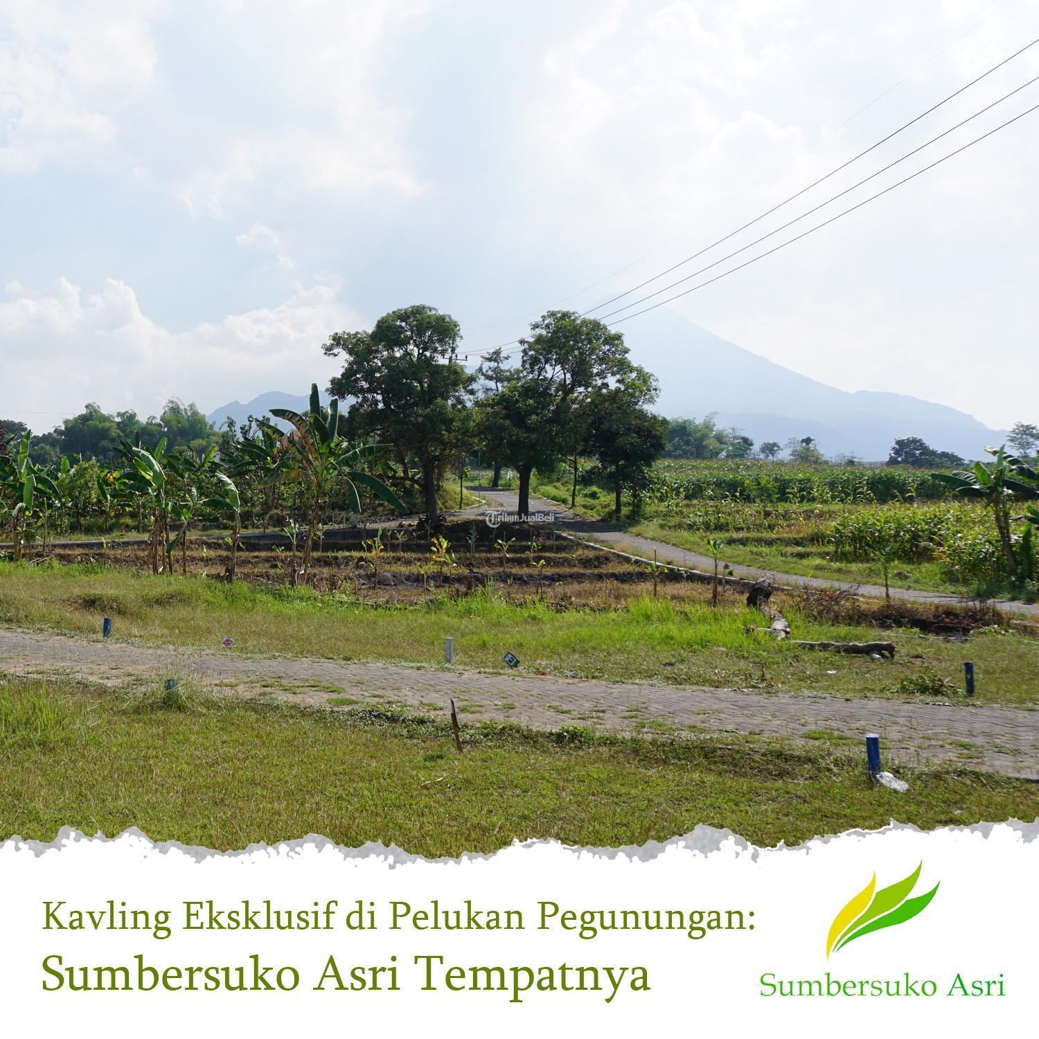 Kavling Sumbersuko Asri Sentuhan Alam di Tengah Kawasan Industri