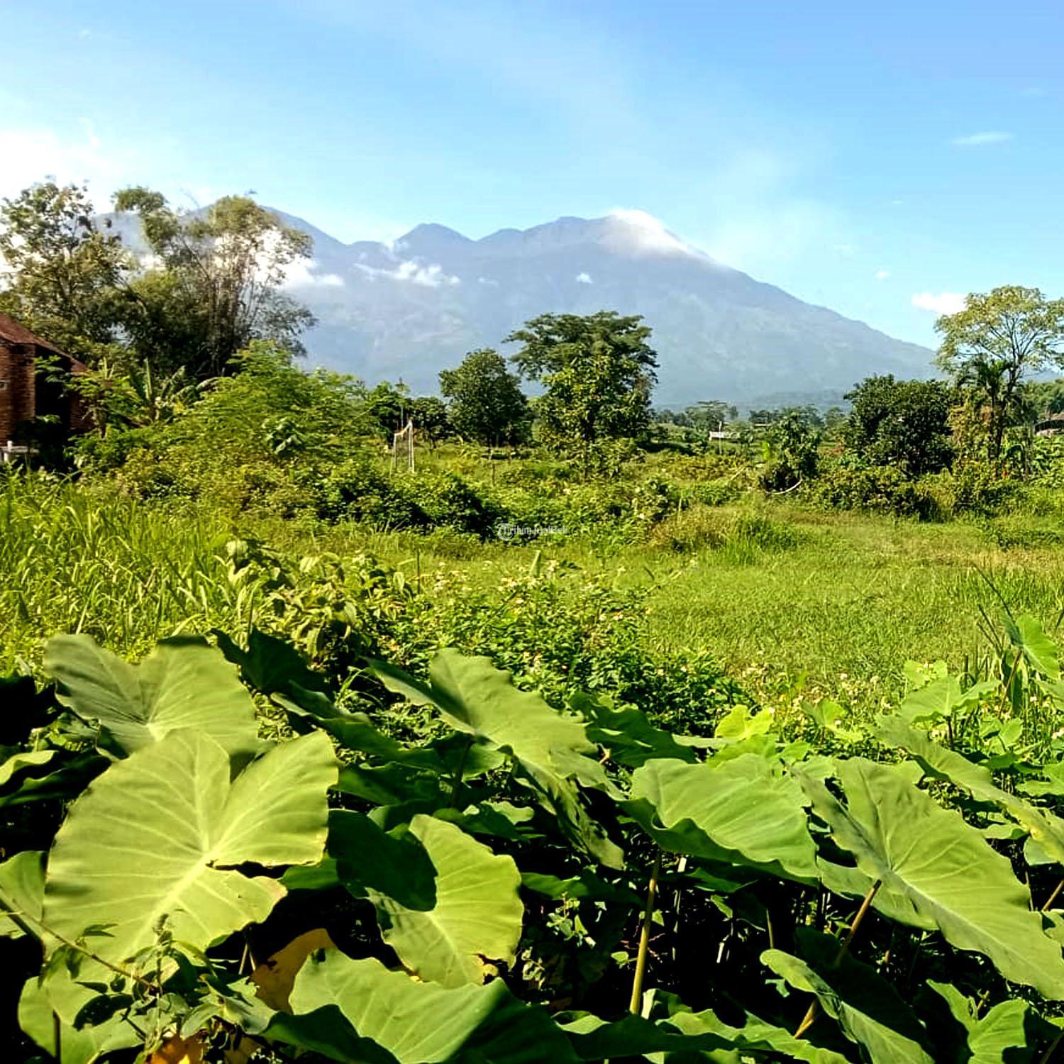 Kavling Sumbersuko Asri Sentuhan Alam di Tengah Kawasan Industri