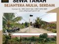 Disewakan Tanah Sejahtera Mulia Harga Terjangkau - Pontianak Kalimantan Barat 