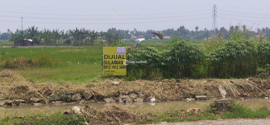 Tanah cocok bangun Cluster perumahan di Sepatan Tangerang