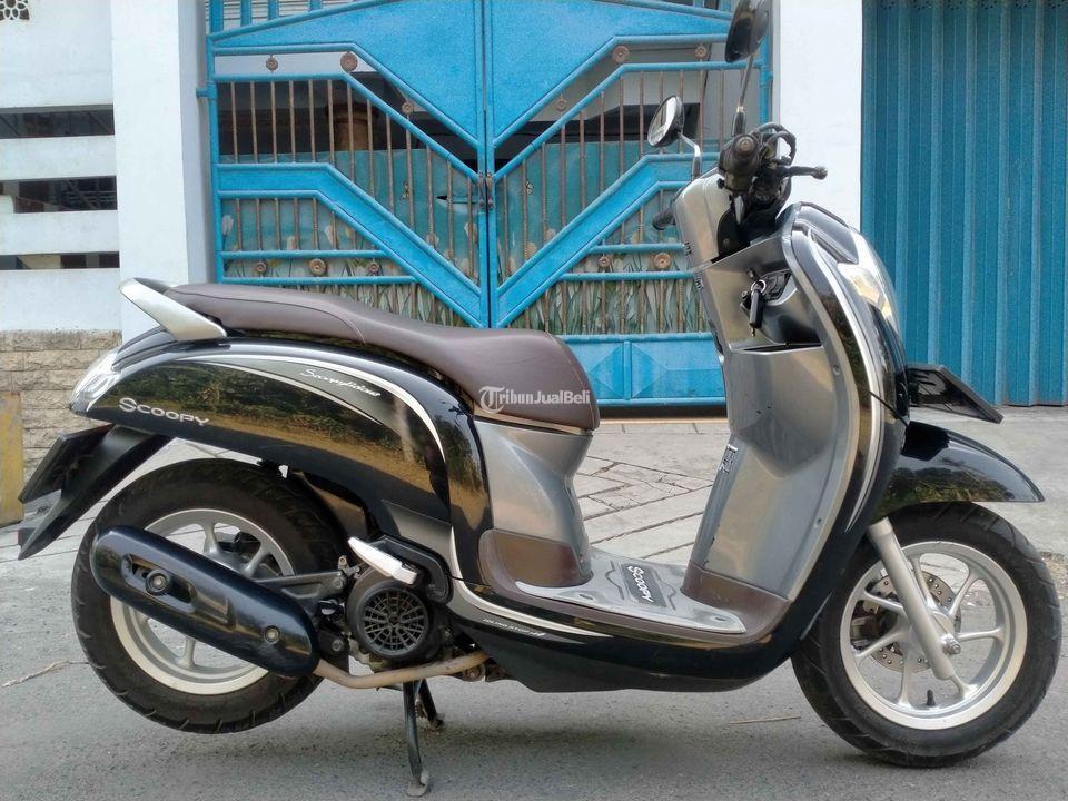 Motor Honda Scoopy Bekas Tahun 2018 Siap Pakai Harga Terjangkau Warna ...