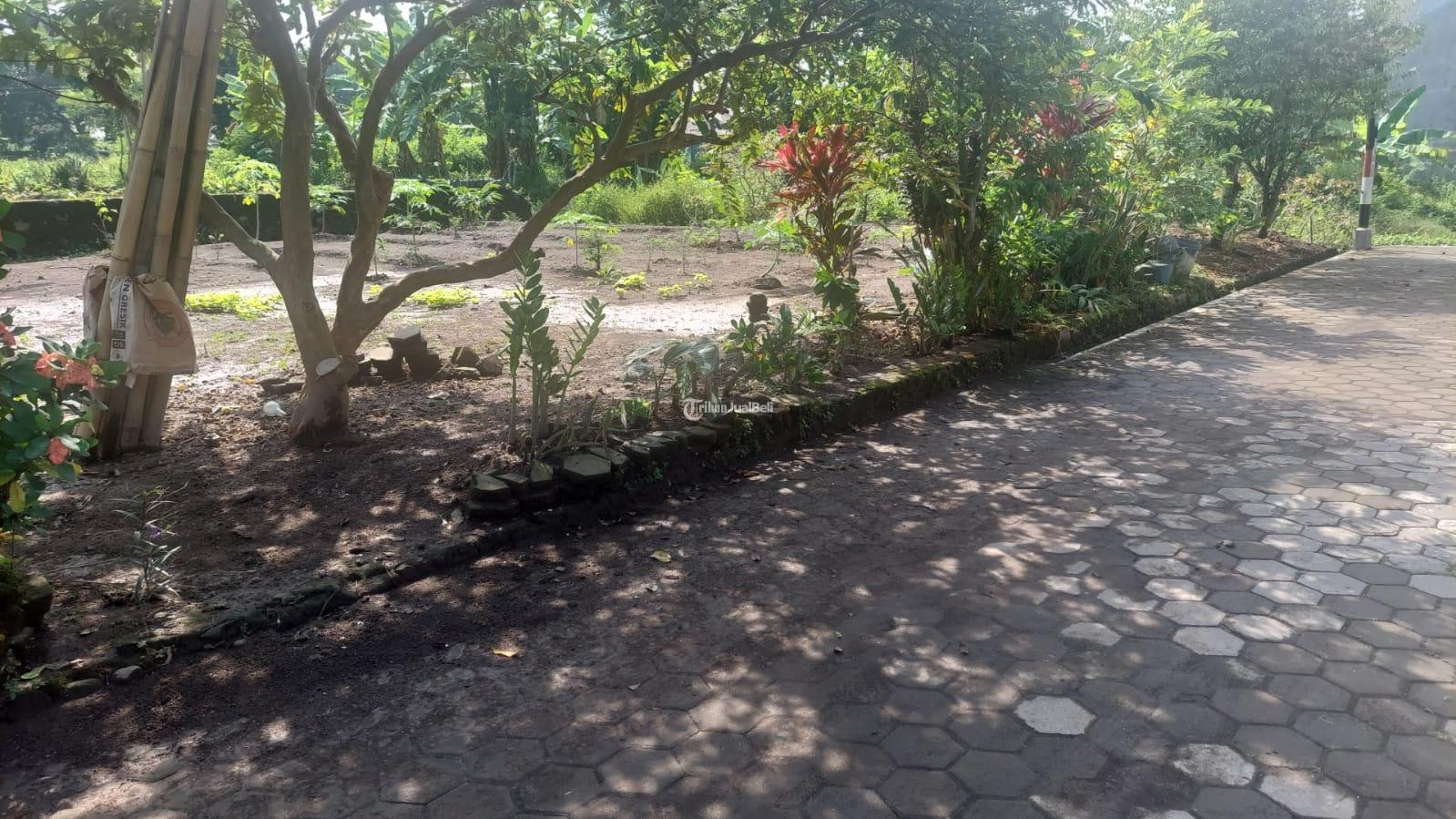 Tanah 3 Kavling di Pugeran Dalam Ringrod Belakang Kantor Pajak