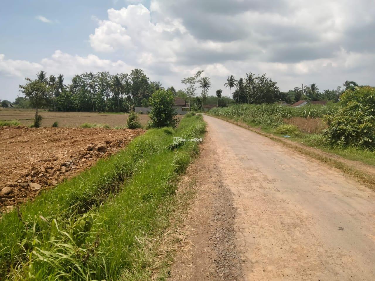 TANAH JENGGAWAH BISA DICICIL