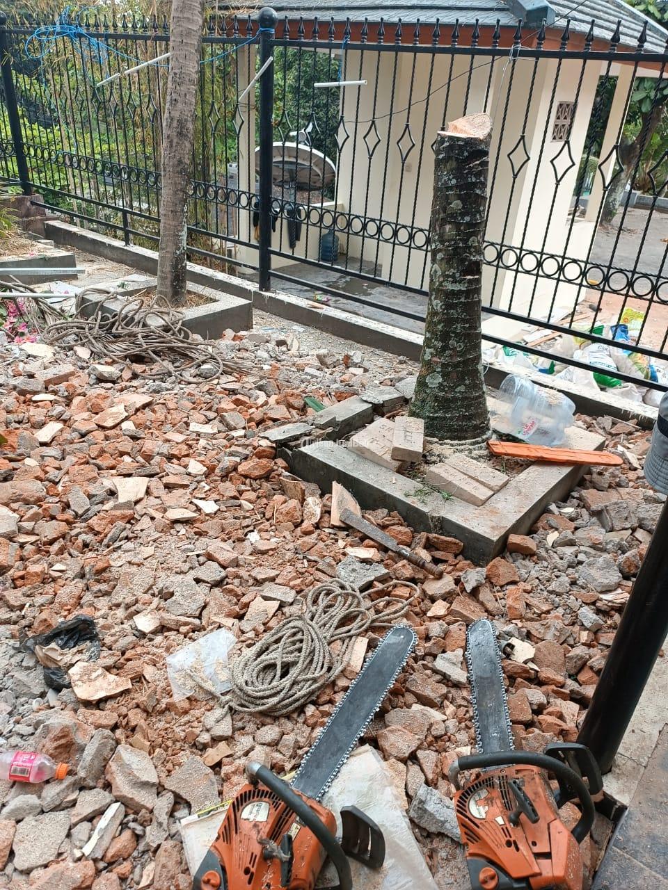 jasa penebangan pohon