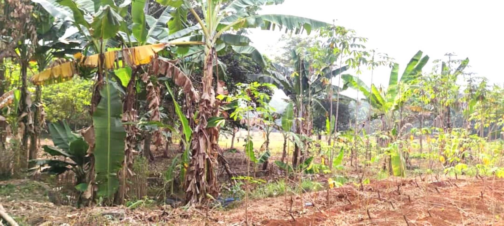 Dijual Tanah Luas 35000 m2 Strategis Jalan Raya MT Haryono Tamansari Setu - Bekasi Jawa Barat