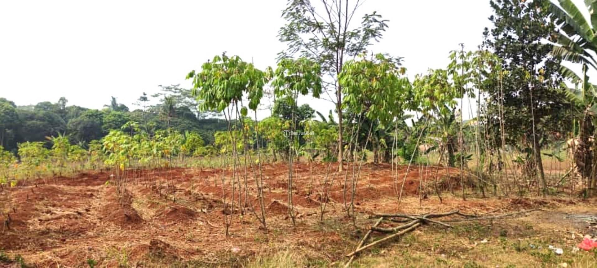 Dijual Tanah Luas 35000 m2 Strategis Jalan Raya MT Haryono Tamansari Setu - Bekasi Jawa Barat