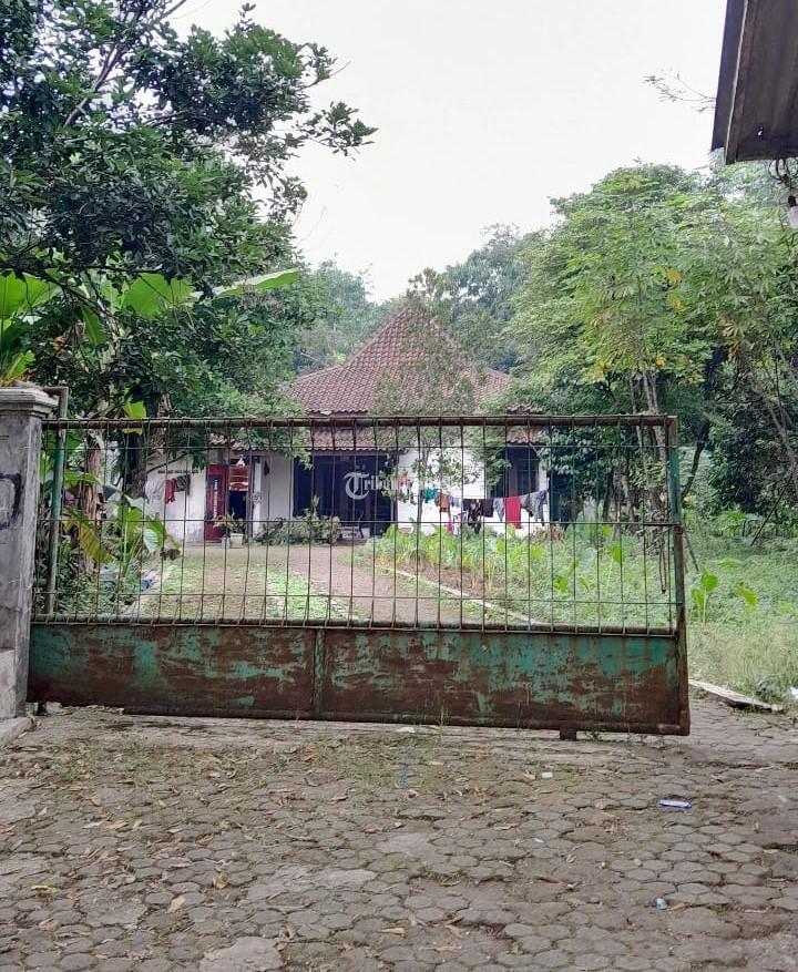 Tanah Bonus Bangunan dan Kios di Ciseeng Bogor