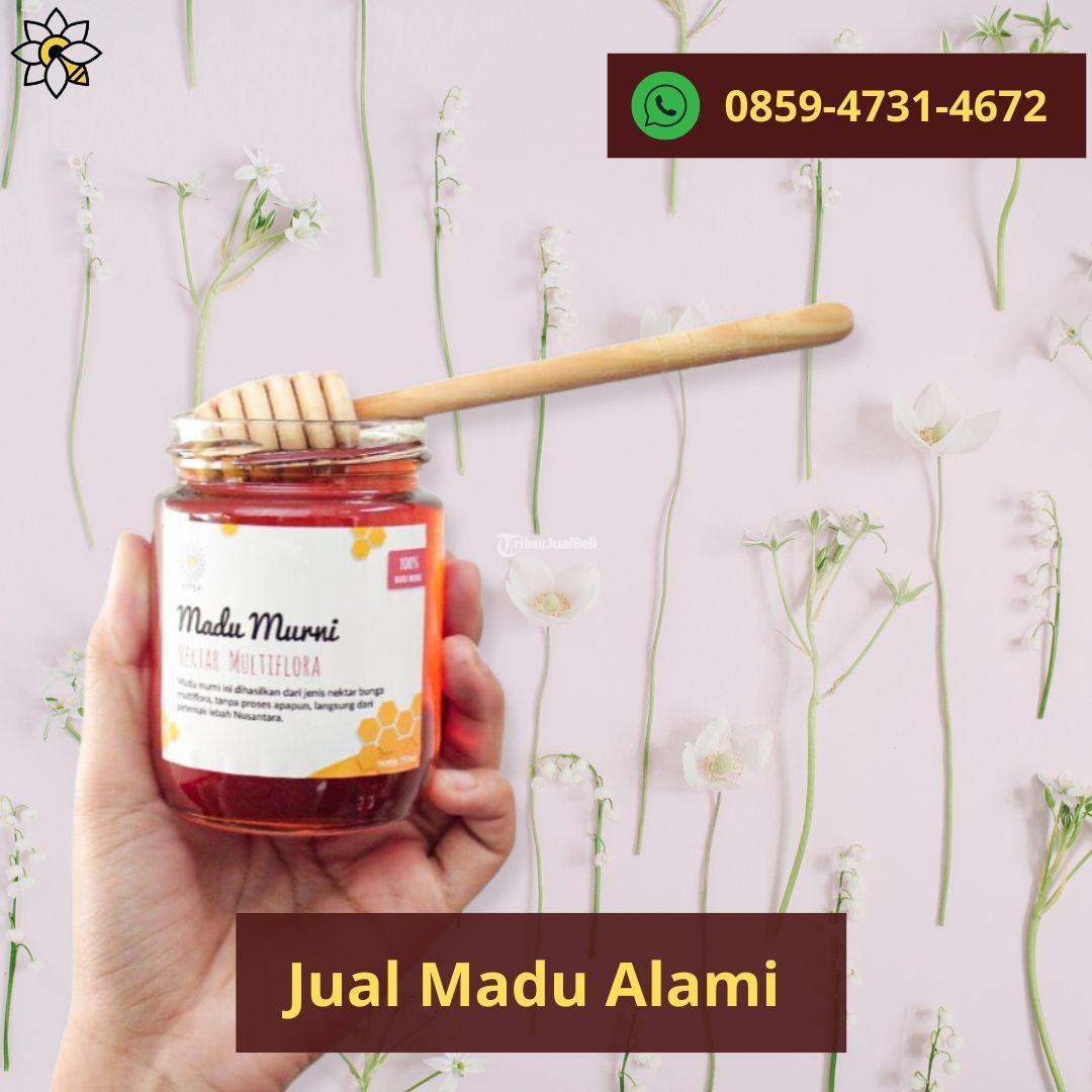 Supplier Madu Alami di Bogor