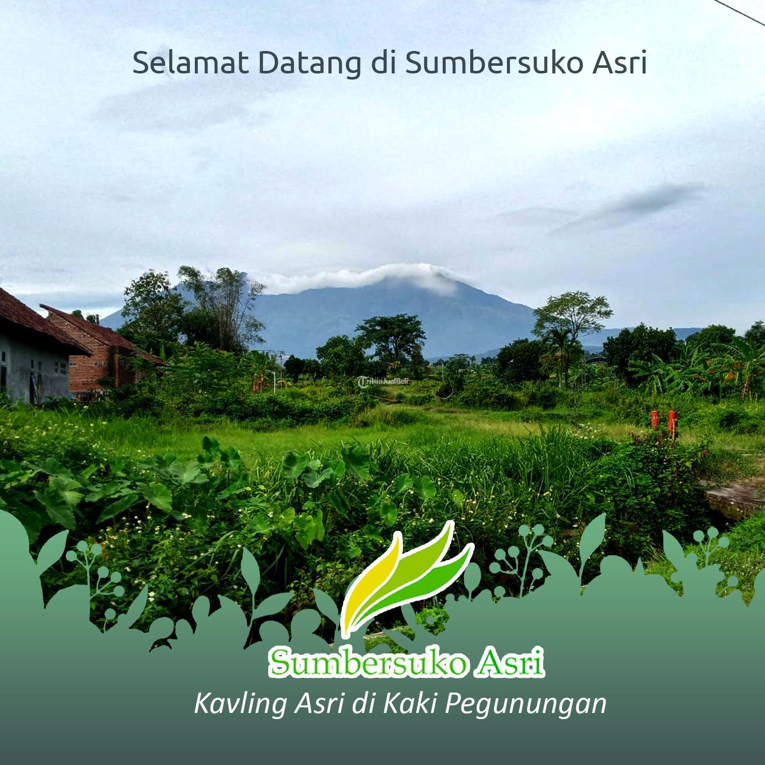 Investasi Masa Depan Anda Kavling Sumbersuko Asri Lokasi Ideal dekat Industri