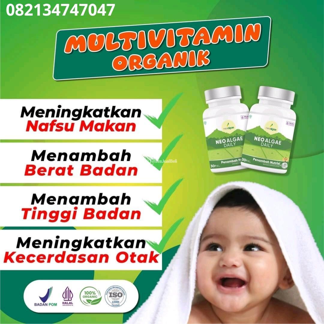 Penambah berat badan Purbalingga