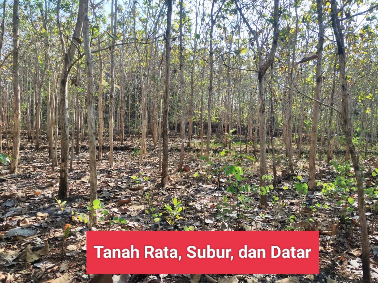 Dijual Tanah Murah Strategis Luas 2426m2 Di Kawasan Wisata Goa Pindul ...