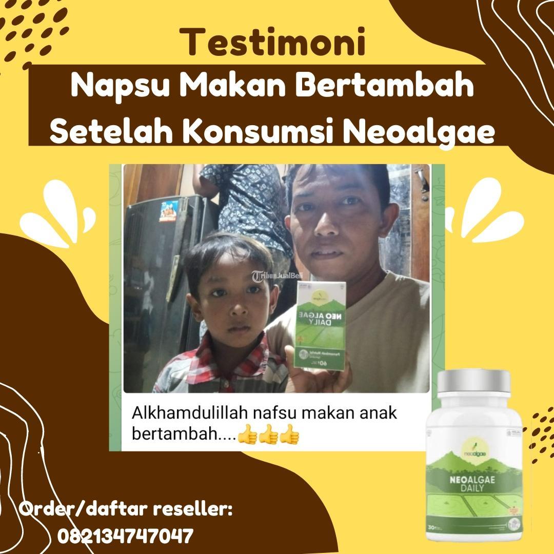 Vitamin Penambah Berat Badan Anak Di Semarang - Tribun JualBeli