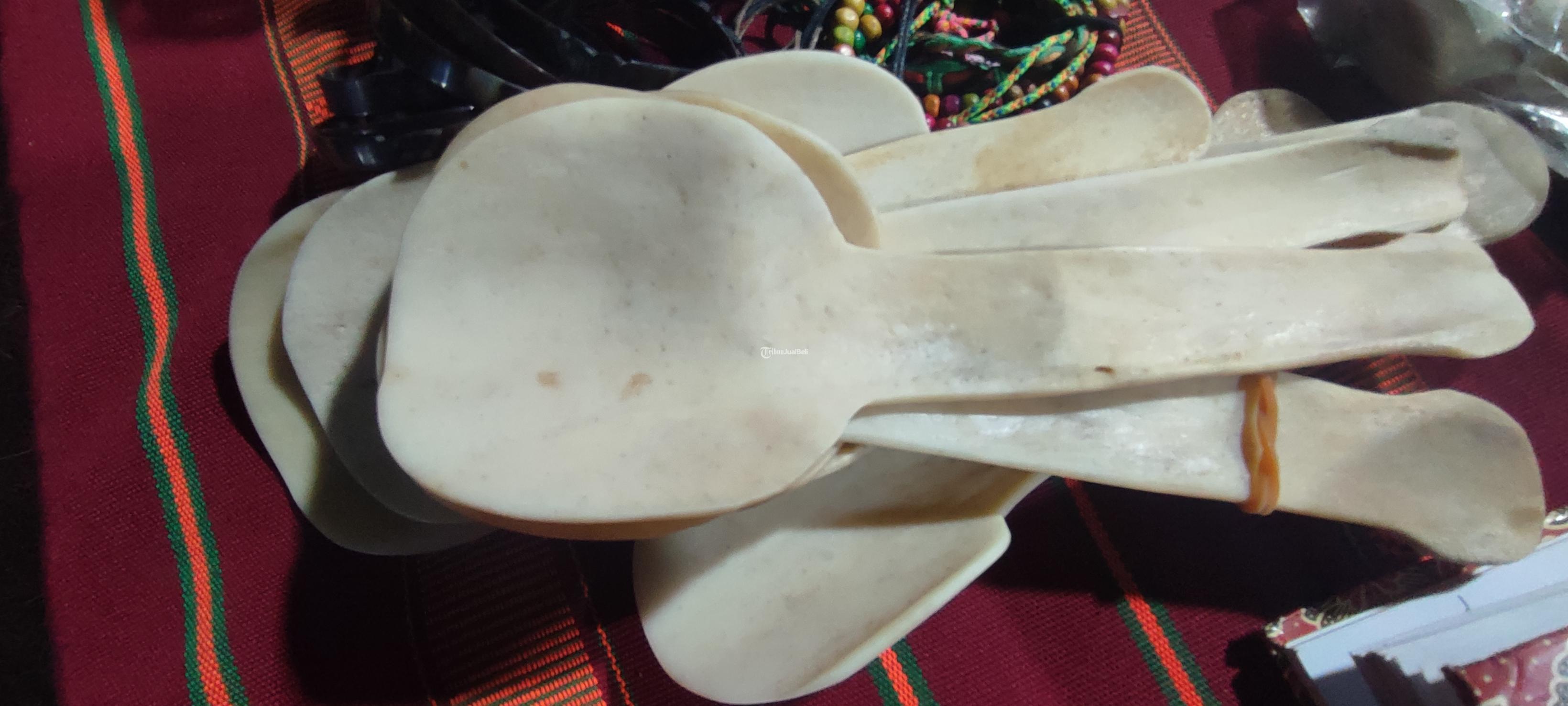 Sendok Nasi Dari Tulang Ikan Paus