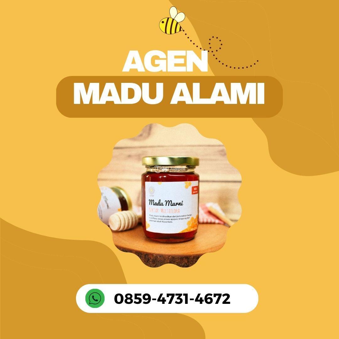 Produsen Madu di Bogor